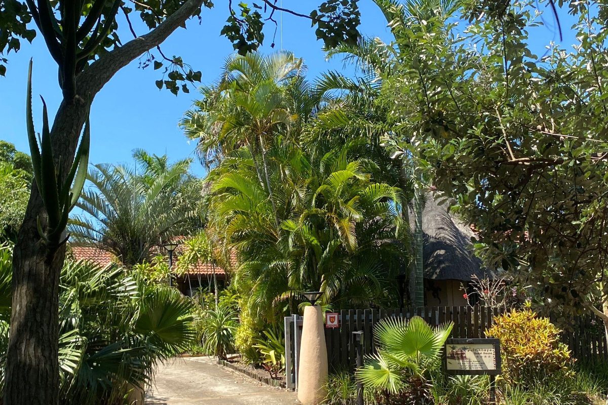 Afrikhaya Guesthouse from the street
