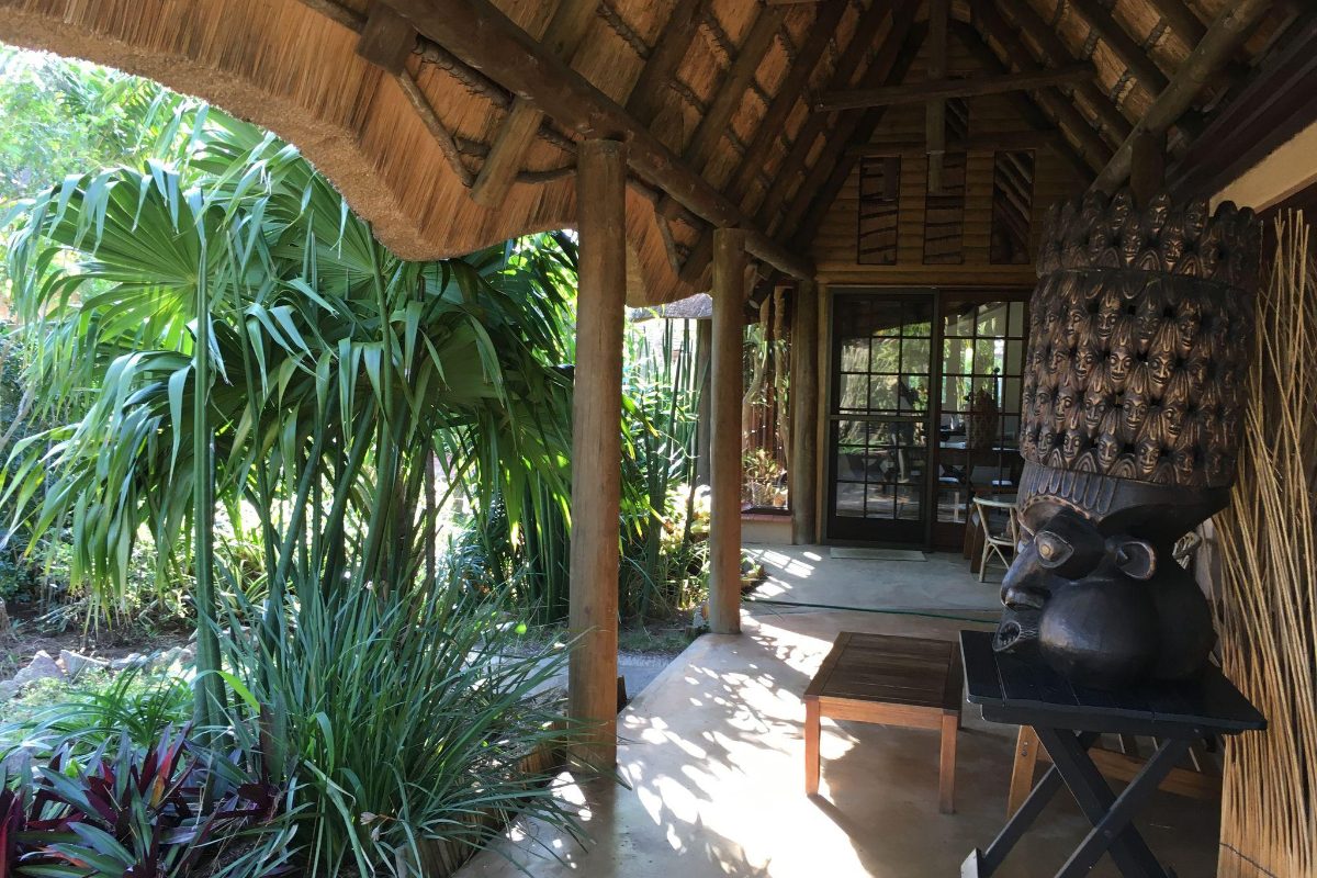 Thatched lapa and garden lounge