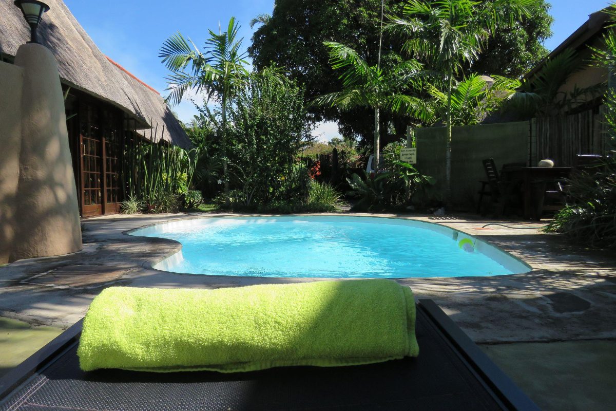 Swimming pool in the tropical garden